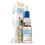 En æske Cibapet CBD kapsler til katte (1,3 mg) ved siden af en flaske.