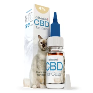 En æske Cibapet CBD kapsler til katte (1,3 mg) ved siden af en anden æske Cibapet CBD kapsler til katte (1,3 mg).