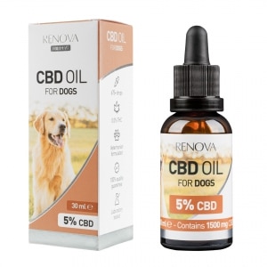 en flaske Renova CBD olie 5% til hunde (30 ml) ved siden af en æske Renova CBD olie 5% til hunde (30 ml).